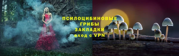 Альфа ПВП Армянск