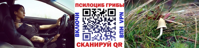 Галлюциногенные грибы Psilocybe Семилуки